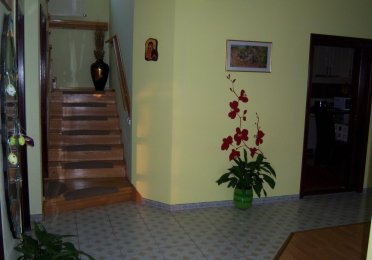 100_5243.JPG