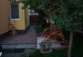 100_5257.JPG