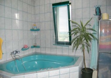 11533171_6_644x461_cat-oferiti-pe-aceasta-vilafaget-cluj-_rev003.jpg