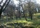 16063031_2.jpg