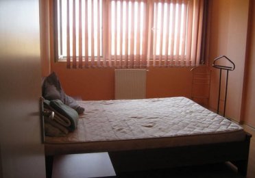 17333360_5.jpg