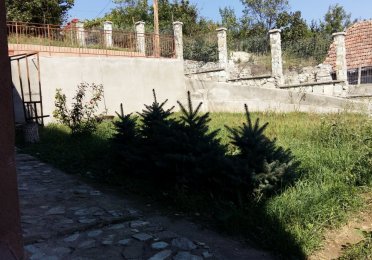 20150914_140330.jpg