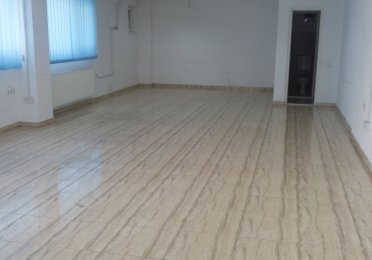 Ciocarliei sp 18 (3).jpg