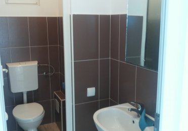 Ciocarliei sp 18 (6).jpg