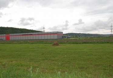 DSC_1879.JPG