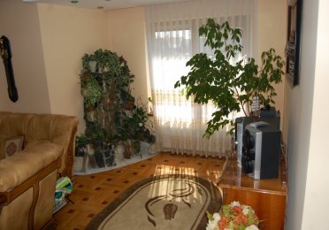 DSC_3299.JPG