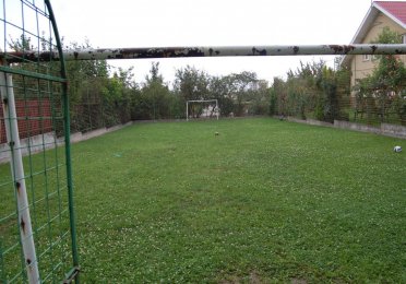 DSC_3419.JPG