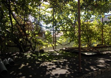 DSC_4194.JPG