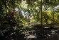 DSC_4194.JPG