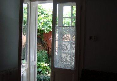DSC01650.JPG