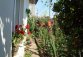 DSC01672.JPG