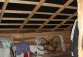 DSC02172.JPG