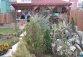 DSC02261.JPG