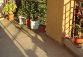 DSC02341.JPG