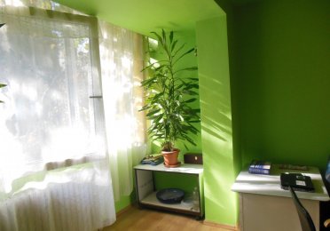 DSCN6524.JPG