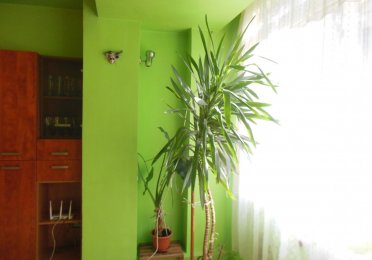DSCN6525.JPG