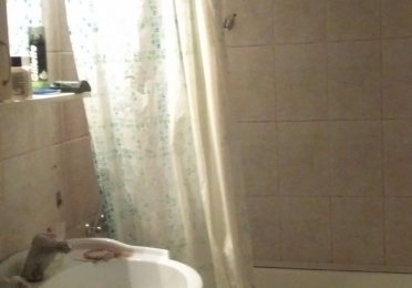 IMAG0164.jpg