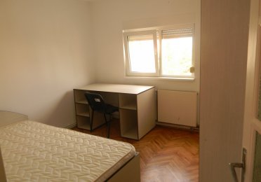 ap trascaului camera mica.JPG